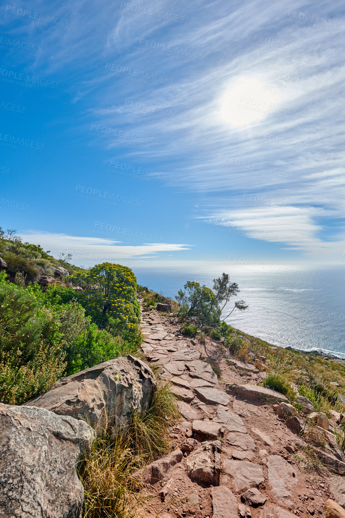 Buy stock photo Lions Head Mountain trail with a relaxing beautiful ocean view. Lush green trees and bushes growing in harmony with nature. Popular attraction for tourists who enjoy outdoor adventure