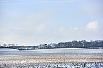 Wintertime in the countryside - Denmark