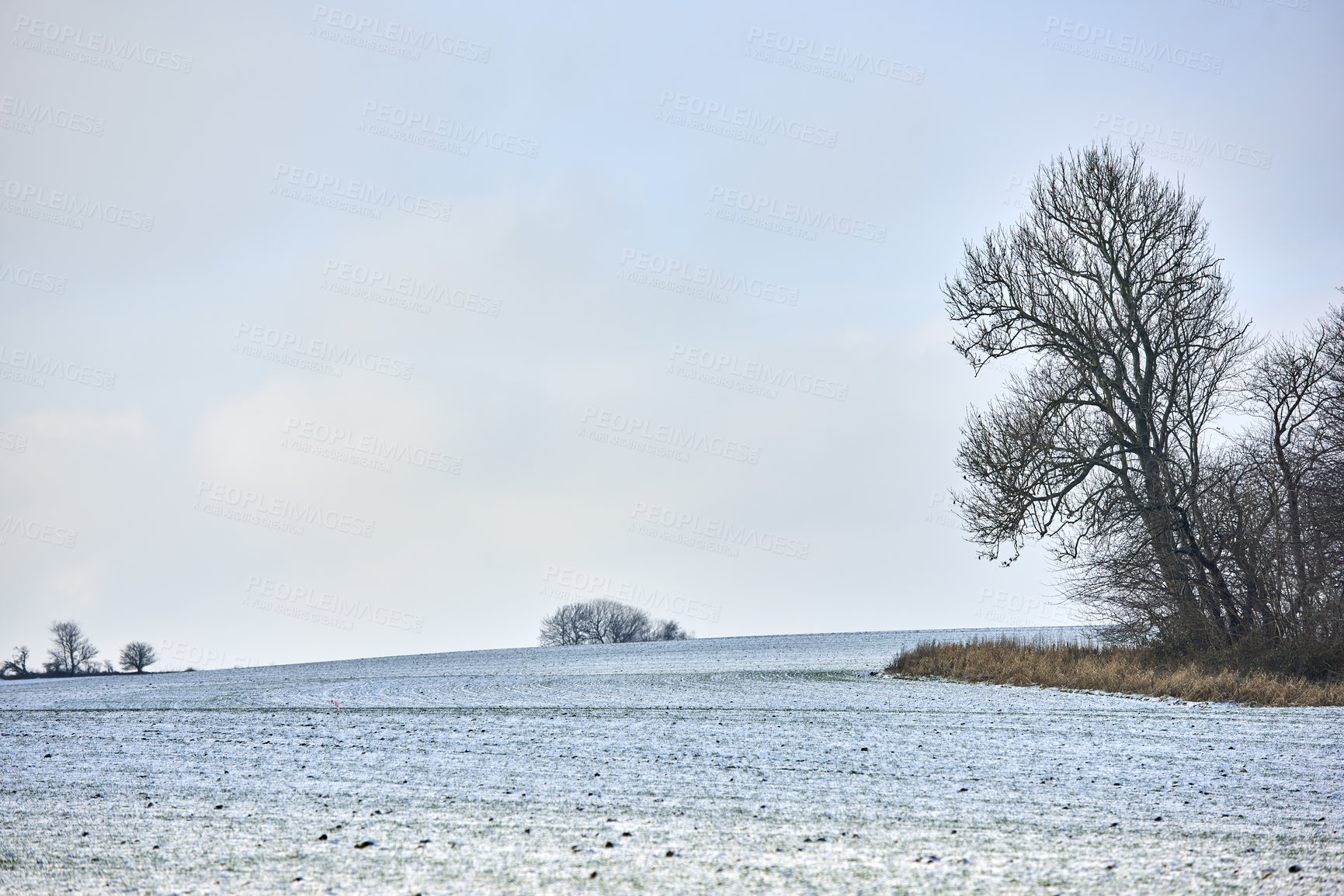 Buy stock photo Relaxing nature landscape photo of warm sunset over isolated field on a winter day. Countryside morning scene with bare trees and dry grass. Beautiful outdoor view of a cloudy sky and cold evening.