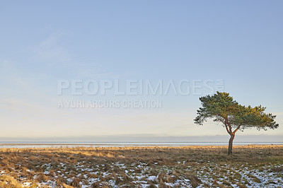 Buy stock photo Photos of Danish winter at the coast of Kattegat.