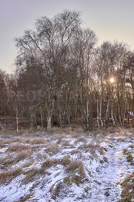 Buy stock photo Photos of Danish winter at the coast of Kattegat.