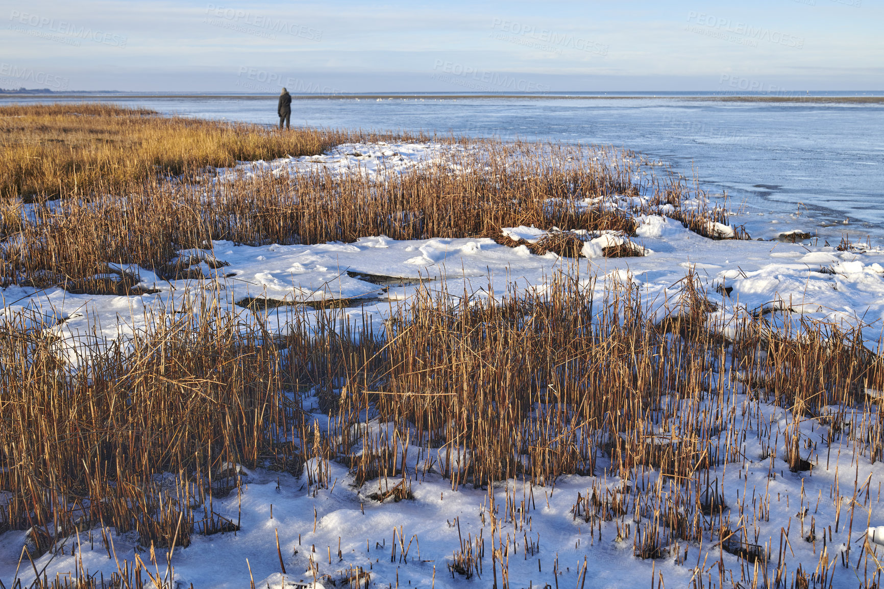 Buy stock photo Photos of Danish winter by the coast of Kattegat.
