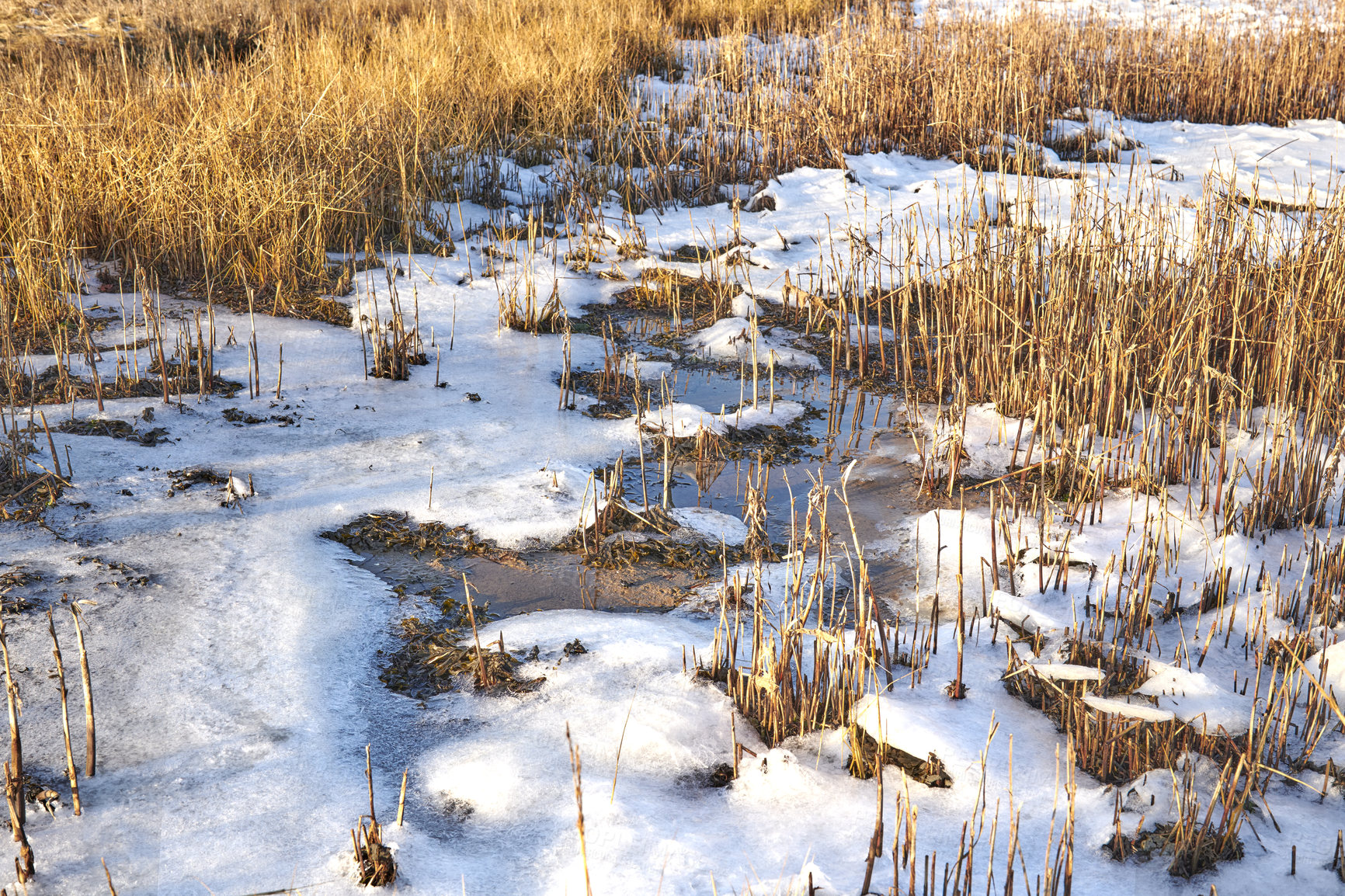 Buy stock photo Photos of Danish winter by the coast of Kattegat.