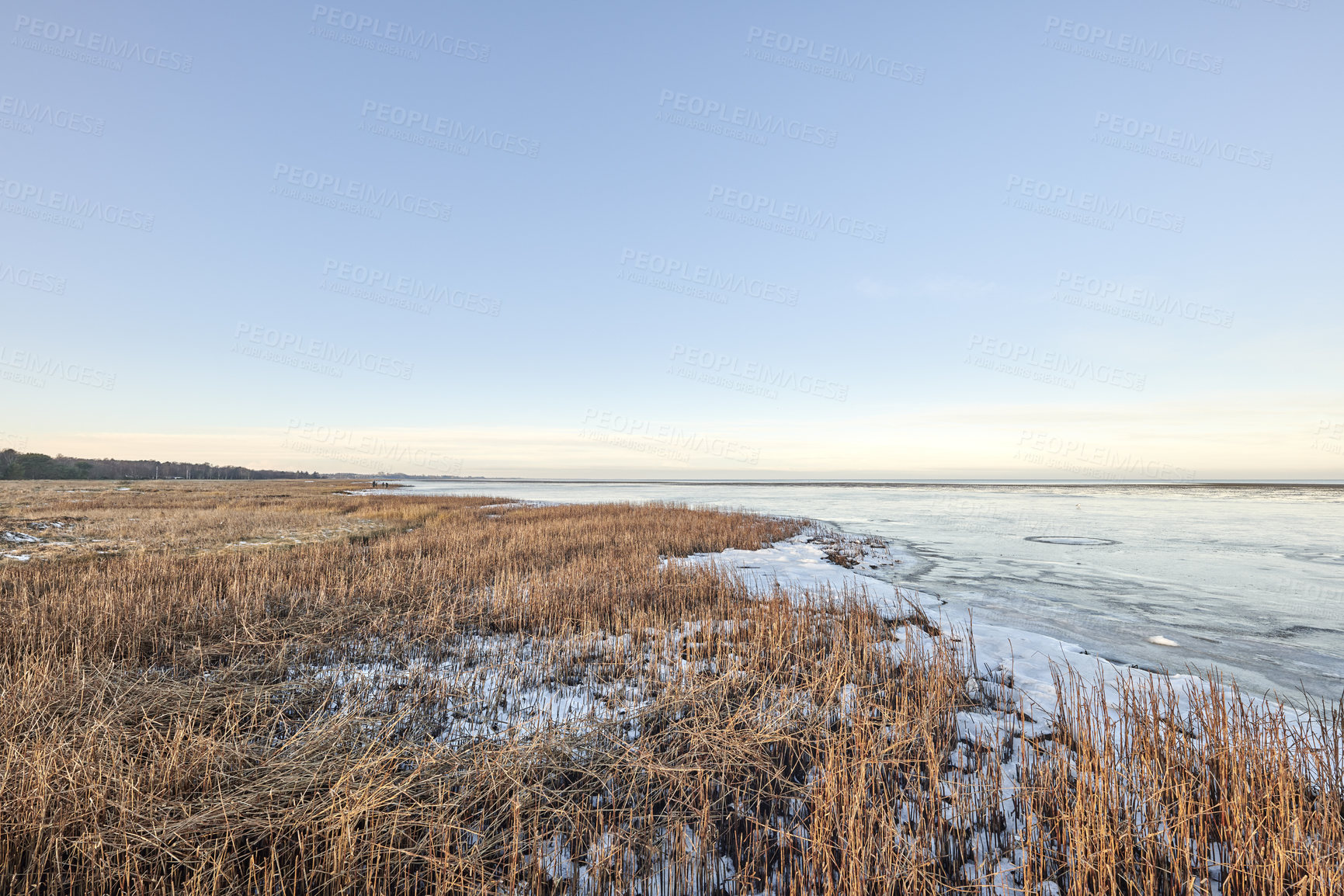 Buy stock photo Sustainability, ocean and environment with coast in nature for sky space, ecology and horizon. Seaside destination, island and field with coastline outdoor for beach, eco friendly and landscape