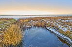 Danish Winter landscape by the coast of Kattegat