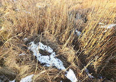 Buy stock photo Photos of Danish winter by the coast of Kattegat.