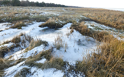 Buy stock photo Photos of Danish winter by the coast of Kattegat.