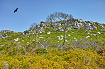 Mountain wilderness - Western Cape