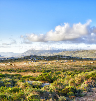 Buy stock photo The wilderness of Cape Point National Park, Western Cape, South Africa