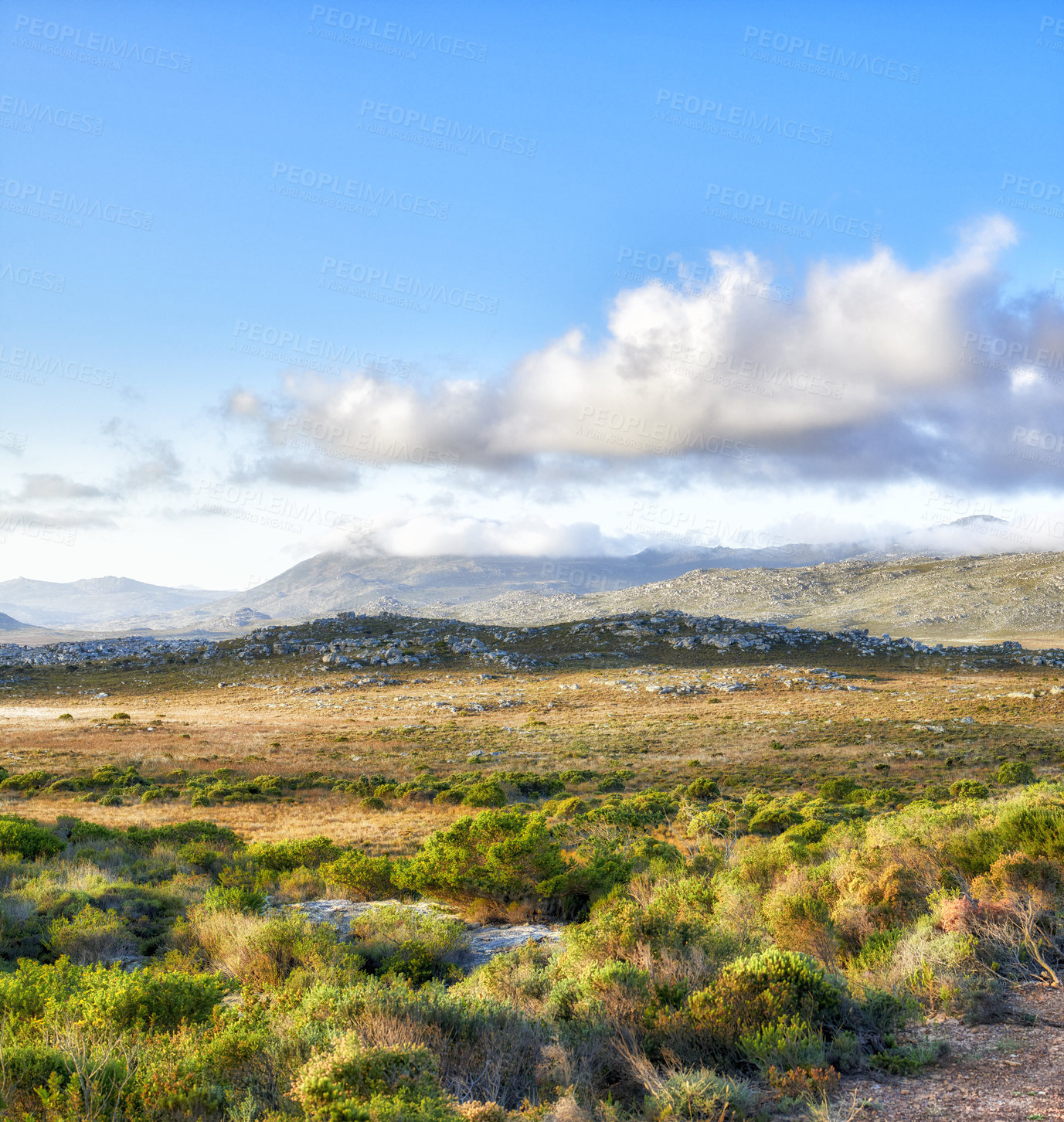 Buy stock photo The wilderness of Cape Point National Park, Western Cape, South Africa