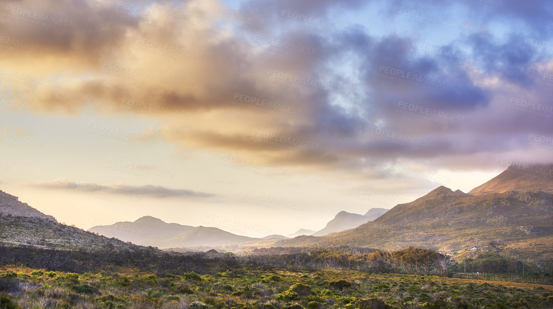 Buy stock photo The wilderness of Cape Point National Park, Western Cape, South Africa