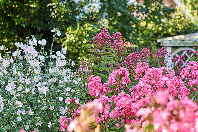 Buy stock photo A series of beautiful garden photos