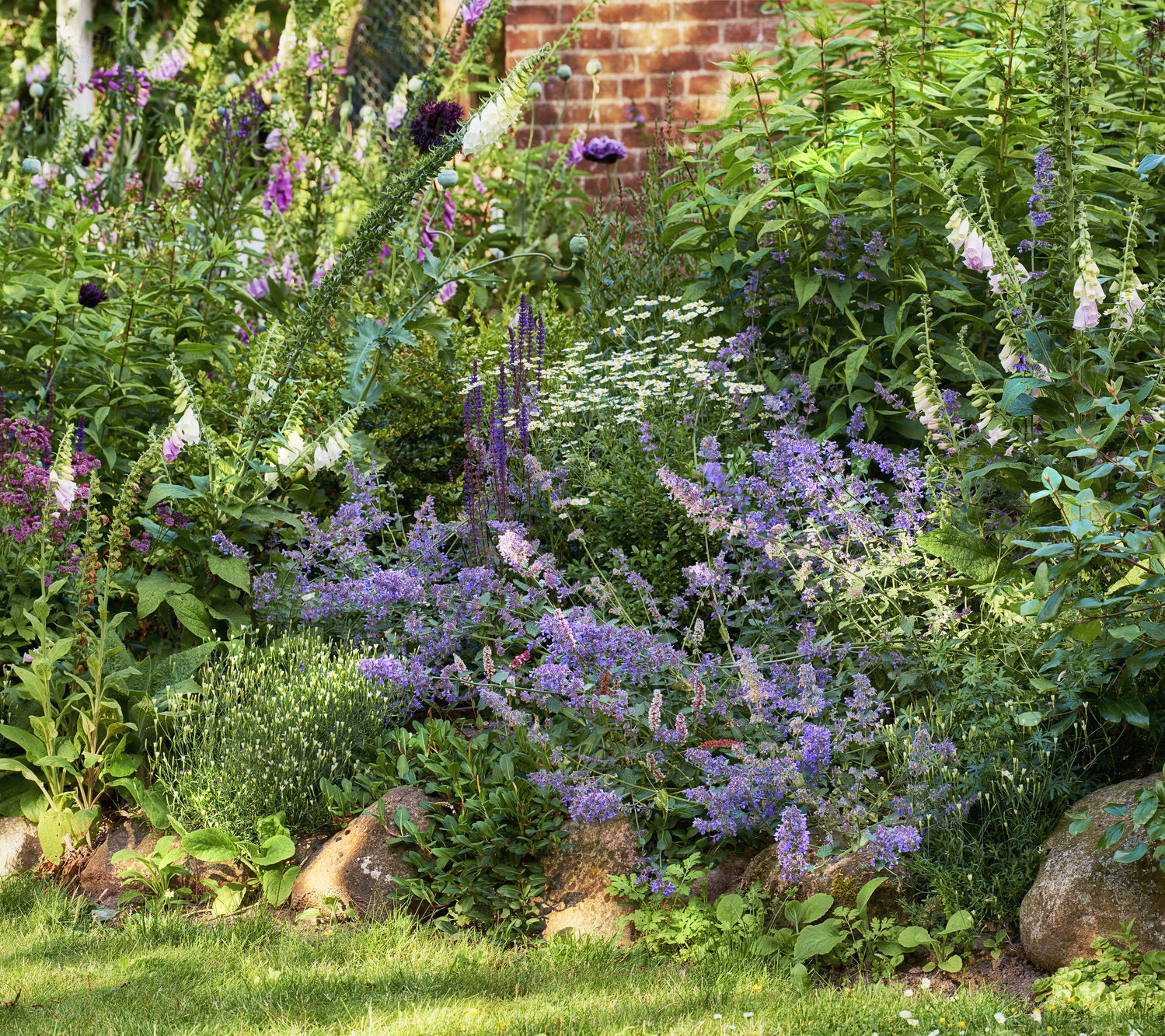 Buy stock photo Colorful purple flowers growing in a garden. Closeup of beautiful spanish bluebell or hyacinthoides hispanica foliage with vibrant petals blooming and blossoming in nature on a sunny day in spring