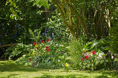 Buy stock photo A series of beautiful garden photos