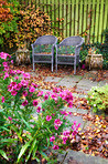Garden dreams