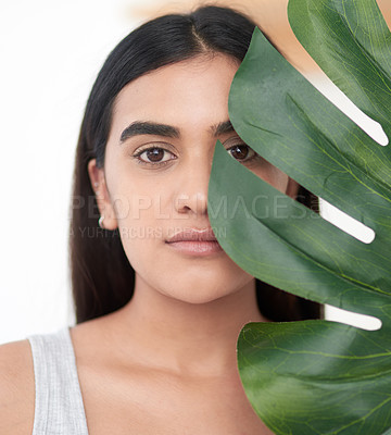 Buy stock photo Plant, portrait and girl in studio for skincare with herbal cosmetics for daily skin routine in morning. Woman, isolated on white background with palm leaf for organic or natural dermatology and care