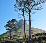 Photo of LionÂ´s Head, Cape Town