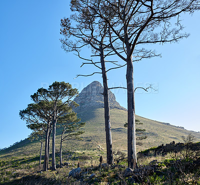 Buy stock photo A photo of Lions Head and surroundings. Cape Town, Western Cape, South Africa.