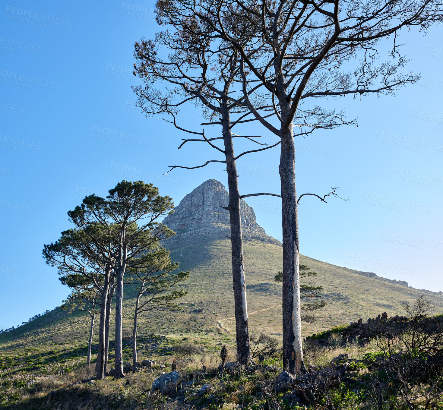 Buy stock photo A photo of Lions Head and surroundings. Cape Town, Western Cape, South Africa.