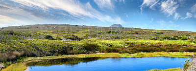 Buy stock photo The wilderness of Cape Point National Park, Western Cape, South Africa