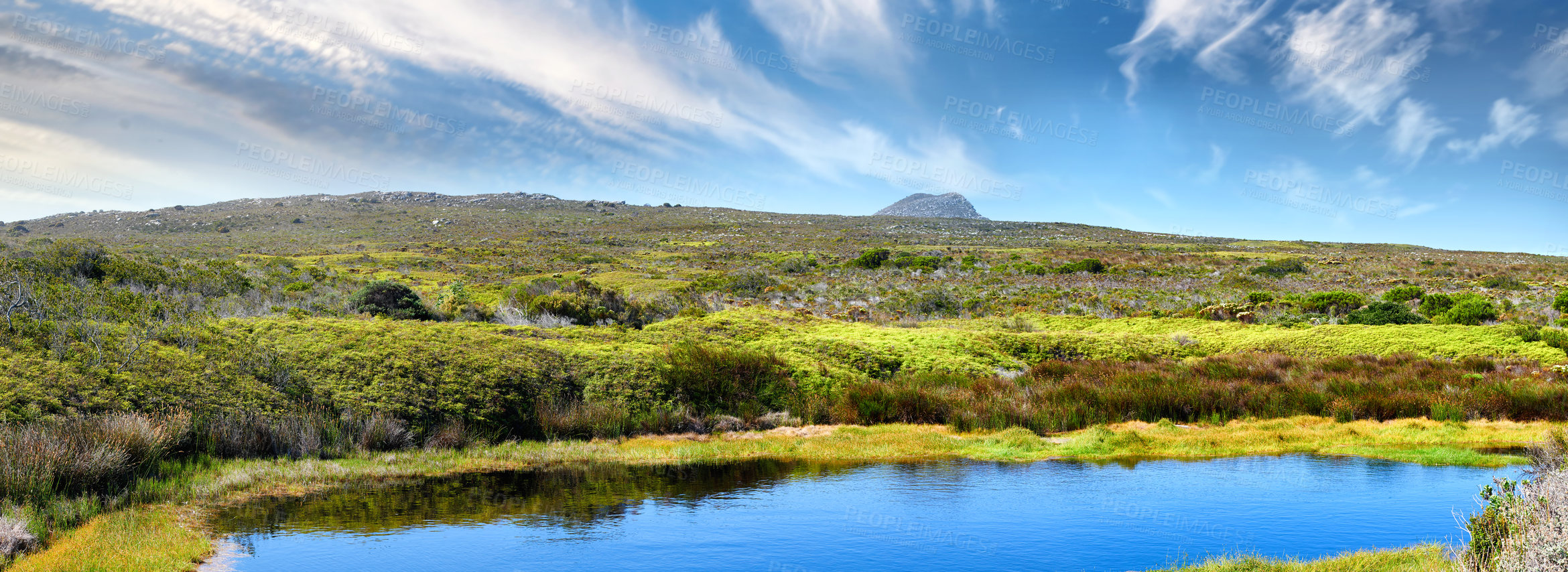 Buy stock photo The wilderness of Cape Point National Park, Western Cape, South Africa