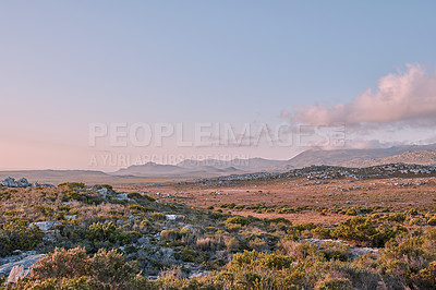 Buy stock photo The wilderness of Cape Point National Park, Western Cape, South Africa