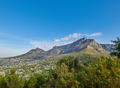 Buy stock photo Beautiful view of Table Mountain on a sunny Summer day. Isolate, serene and tranquil view of nature, including blue skies, lush green plants and mountain with steep peak. Region is in South Africa.