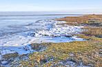 Danish Winter landscape by the coast of Kattegat