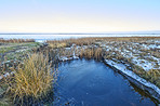 Danish Winter landscape by the coast of Kattegat