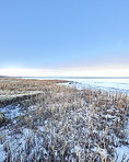 Danish Winter landscape by the coast of Kattegat