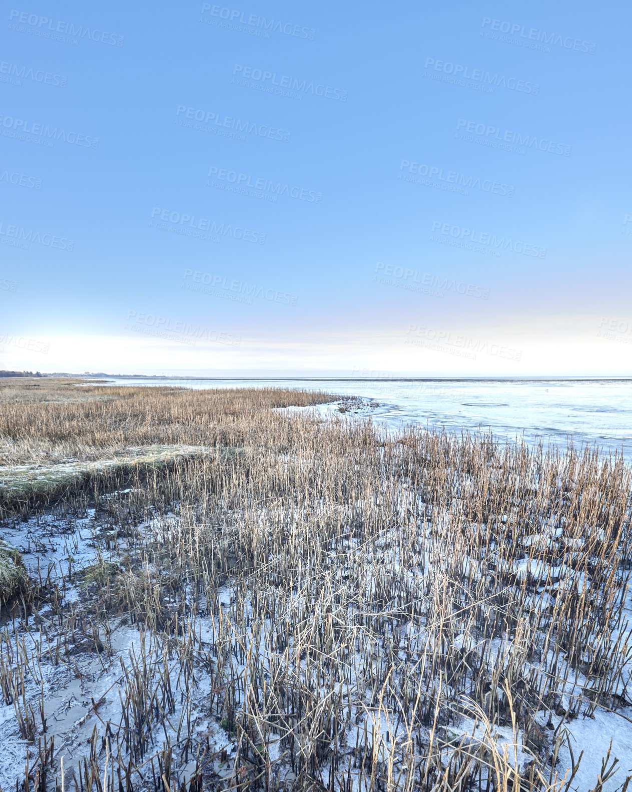 Buy stock photo Photos of Danish winter by the coast of Kattegat.