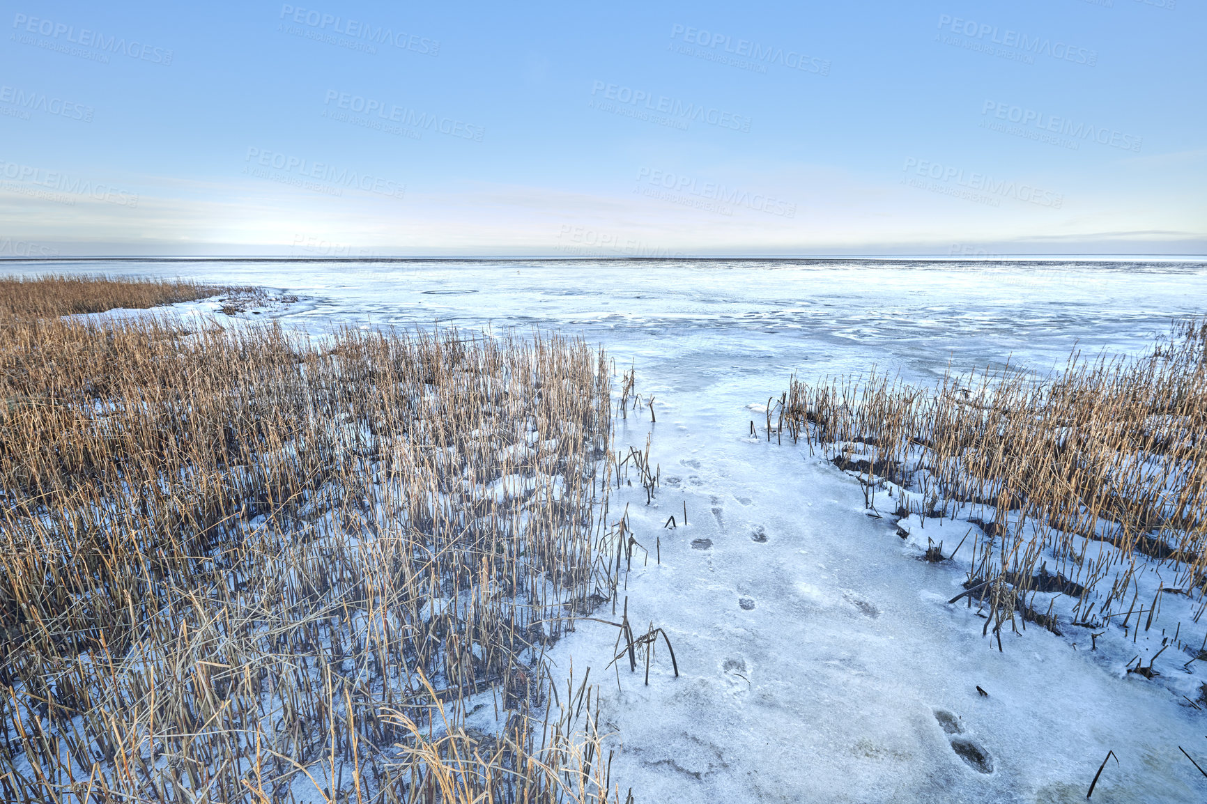 Buy stock photo Photos of Danish winter by the coast of Kattegat.