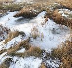 Danish Winter landscape by the coast of Kattegat