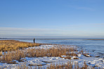 Danish Winter landscape by the coast of Kattegat