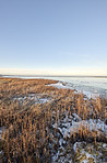 Danish Winter landscape by the coast of Kattegat