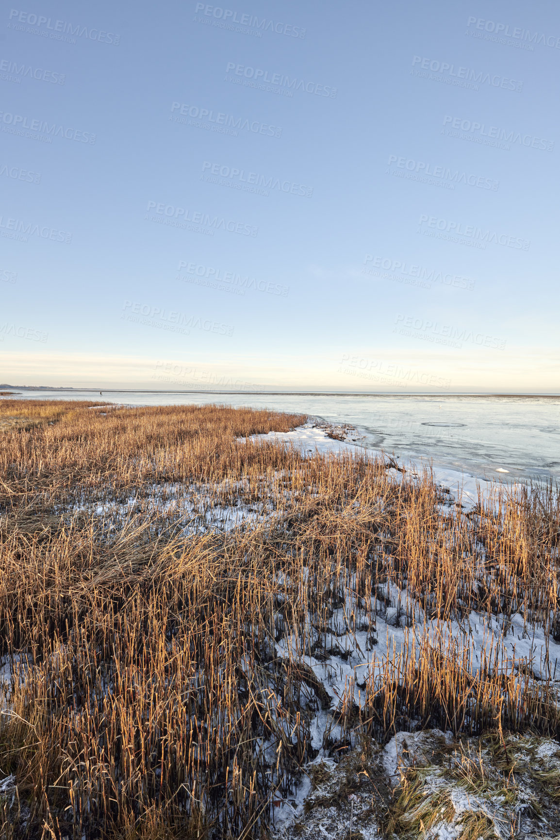 Buy stock photo Photos of Danish winter by the coast of Kattegat.