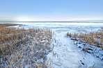 Danish Winter landscape by the coast of Kattegat