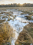 Danish Winter landscape by the coast of Kattegat