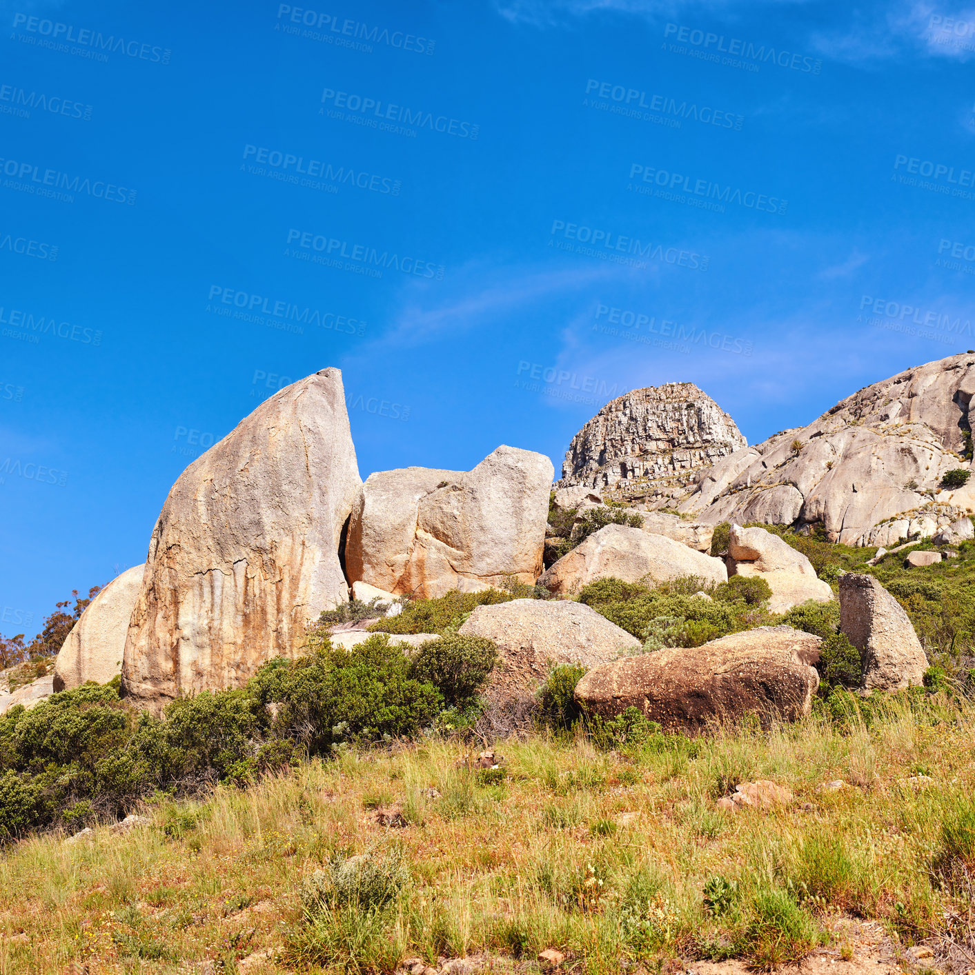 Buy stock photo Big rocks in between bushes against a clear blue sky with copy space. Wild nature landscape of large stones with plants and uncultivated shrubs growing on a rocky mountain in an eco environment 