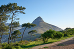 A photo of Lions Head and surroundings