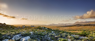 Buy stock photo The wilderness of Cape Point National Park, Western Cape, South Africa