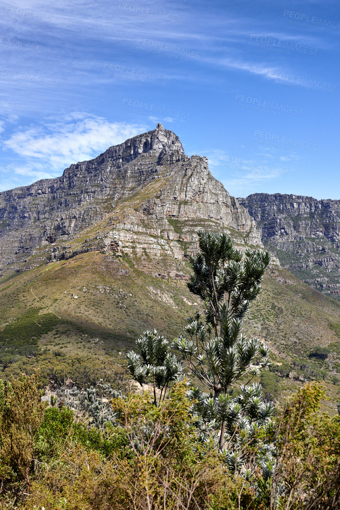 Buy stock photo Mountain background,  peaceful rocky land against a blue sky with copyspace. Vibrant land with lush green bushes and plants growing with harmony in nature. Relaxing, soothing views of South Africa