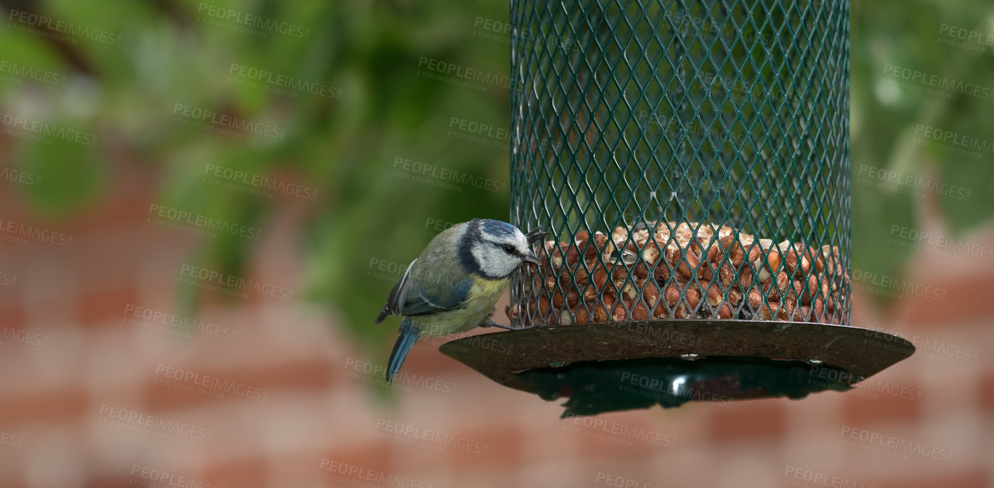 Buy stock photo A series of beautiful garden photos