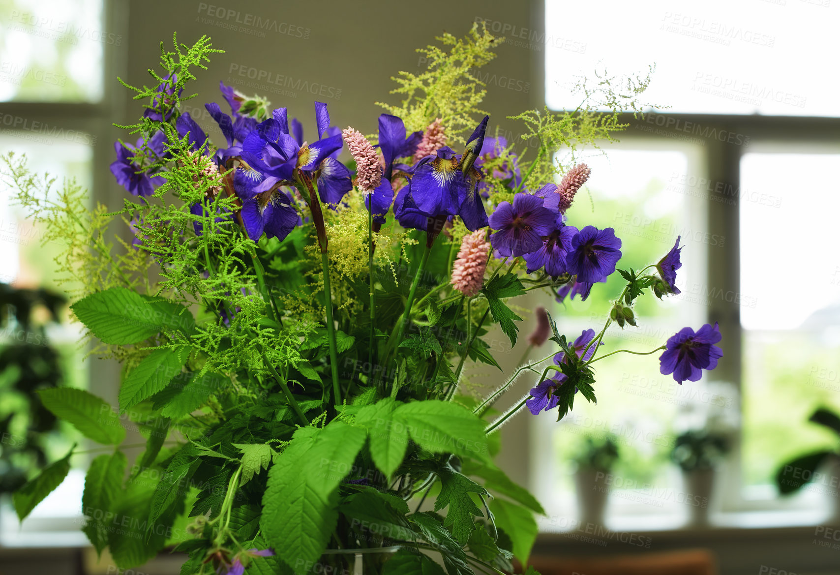 Buy stock photo Bunch of Meadow crane's-bill in a vase as decoration for a wedding celebration or ceremony. A beautiful bouquet of purple flowers as decor at an event venue. Decorative plants in a building
