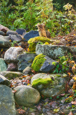 Buy stock photo A series of beautiful garden photos