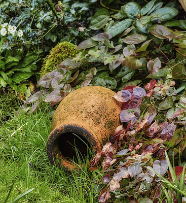 Buy stock photo A series of beautiful garden photos