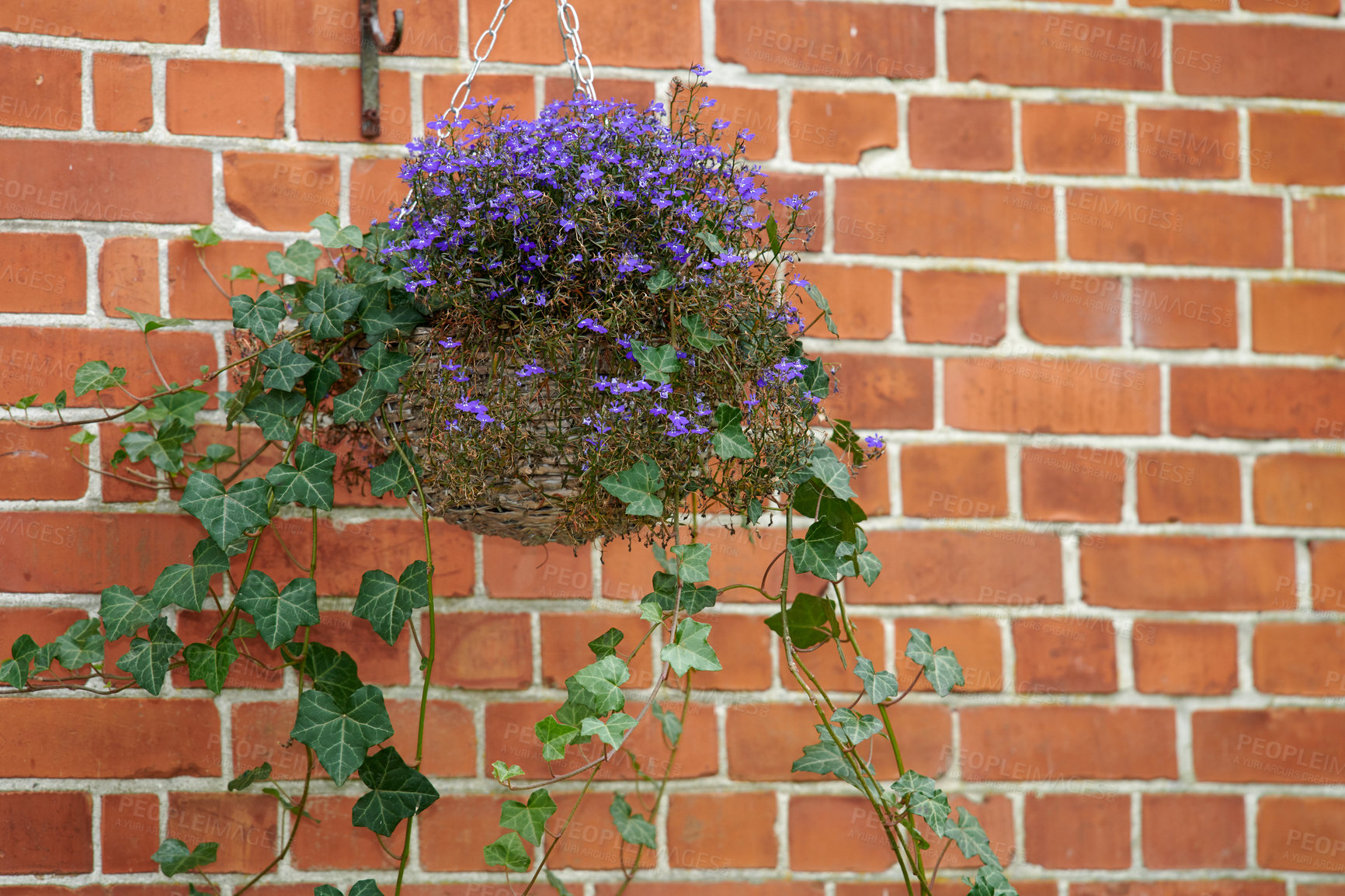 Buy stock photo A series of beautiful garden photos