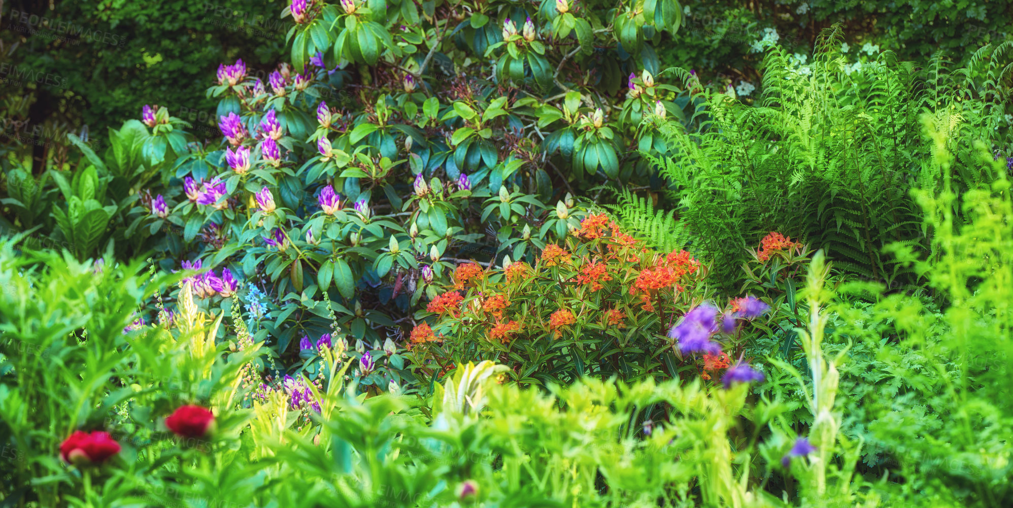 Buy stock photo A series of beautiful garden photos