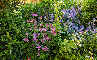 Buy stock photo A series of beautiful garden photos