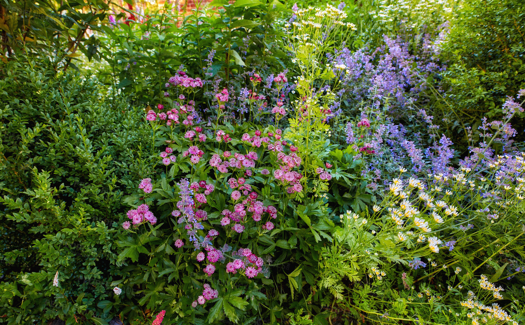 Buy stock photo A series of beautiful garden photos